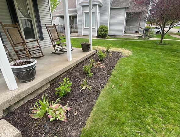 Benefits of Our Tree & Plant Installation Services