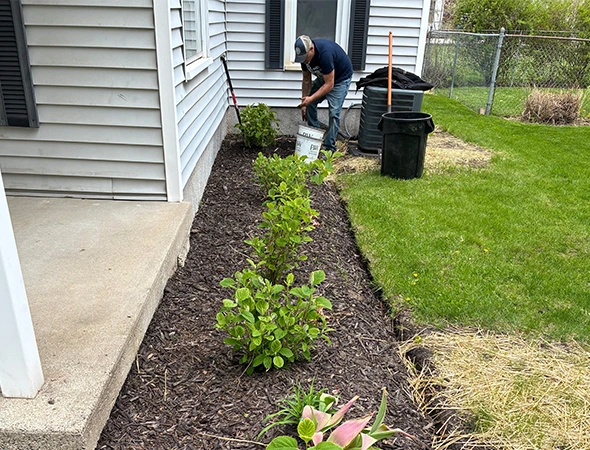 Ornamental Tree Planting in Byron Center