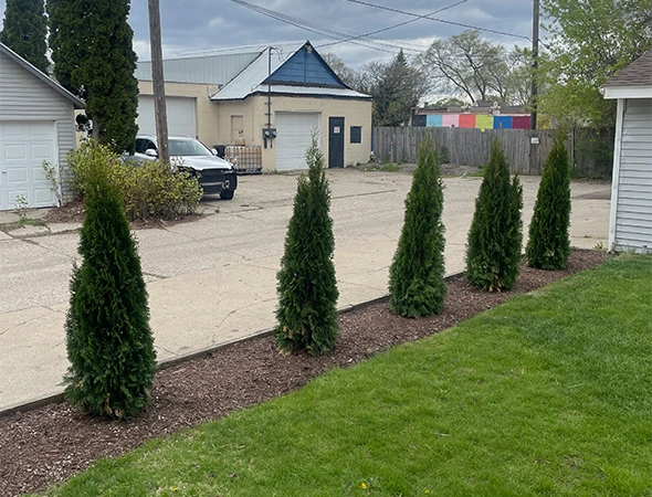 Seasonal Flower Planting Services in Byron Center
