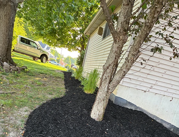 Garden Bed Weeding Services in Gaines Township