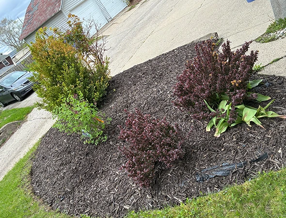 Benefits of Our Garden Bed Maintenance Services