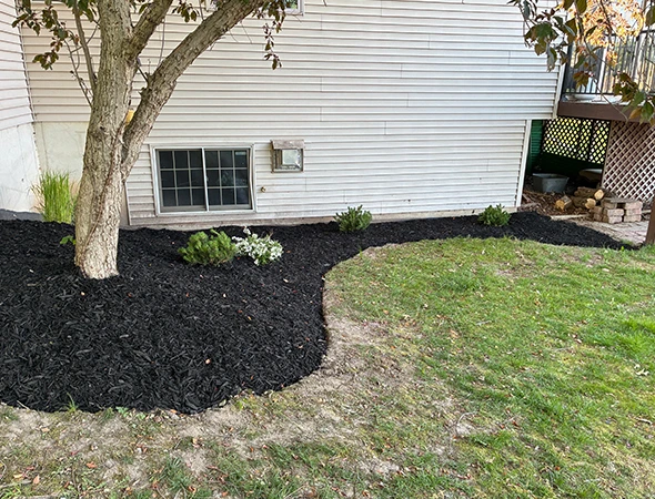 Flower Bed Maintenance & Care in Gaines Township