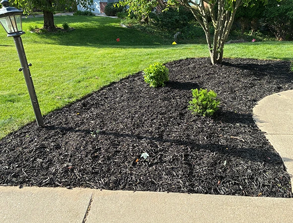 Seasonal Garden Bed Cleanup in Gaines Township