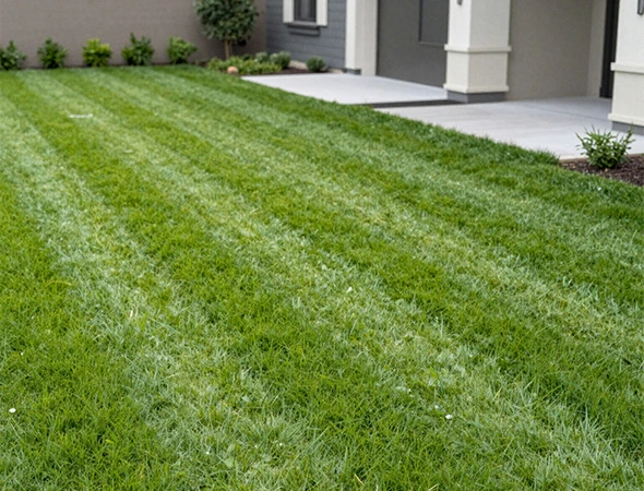 Decorative Mulch Options in Gaines Township