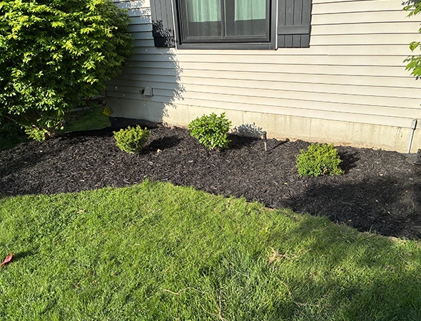 Annual Mulch Refreshing Services in Gaines Township
