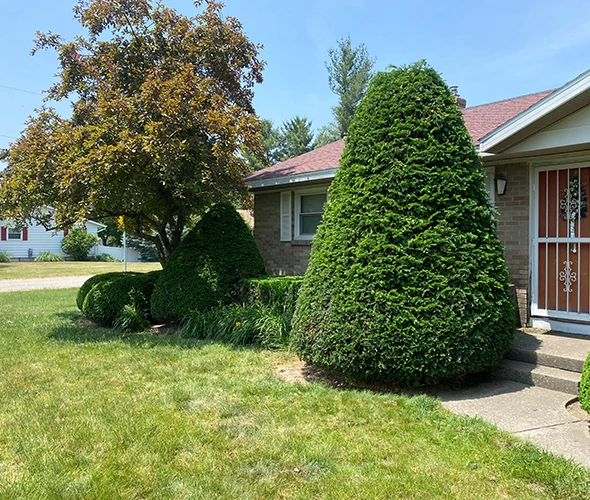 Why Choose Us - Redeemed Landscaping